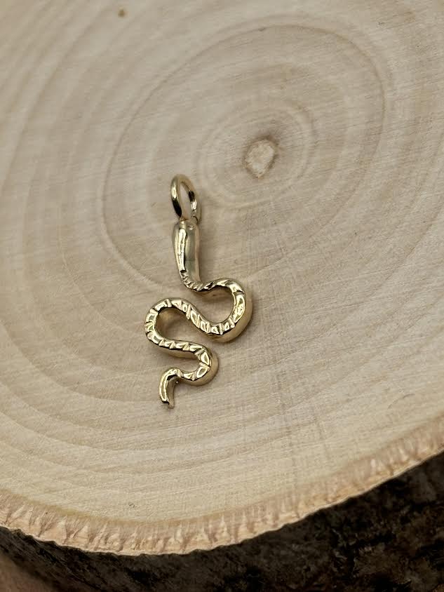 Snake Charm from norvoch