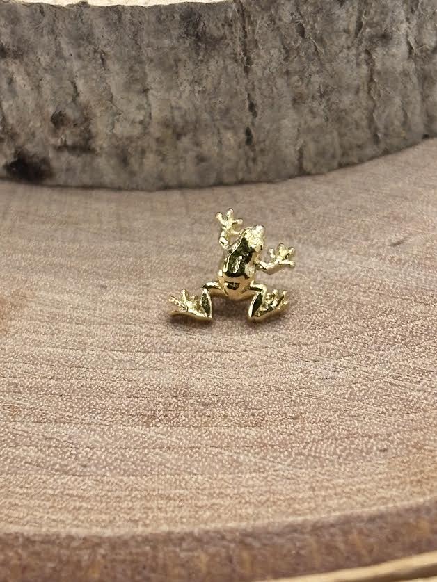 Tree Frog