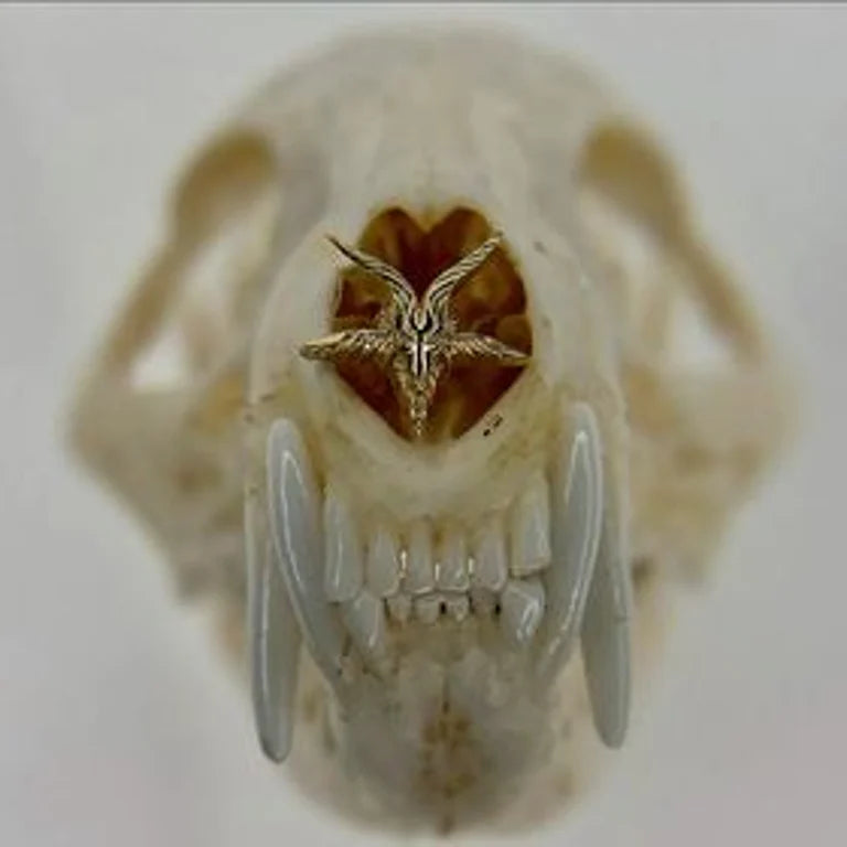 Devil from Mushroom
