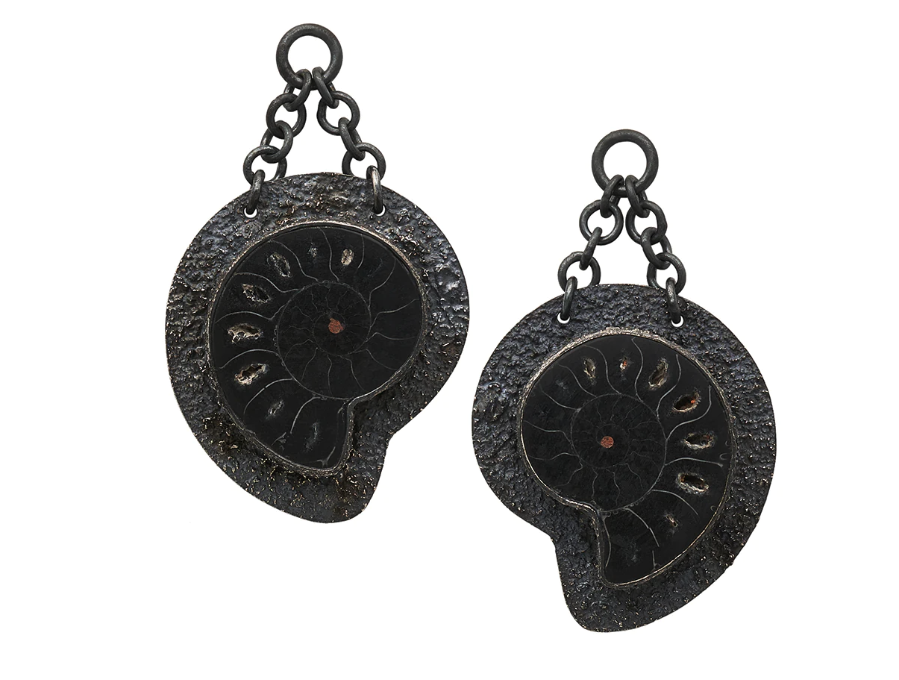Distressed black fossil ammonites from diablo organics