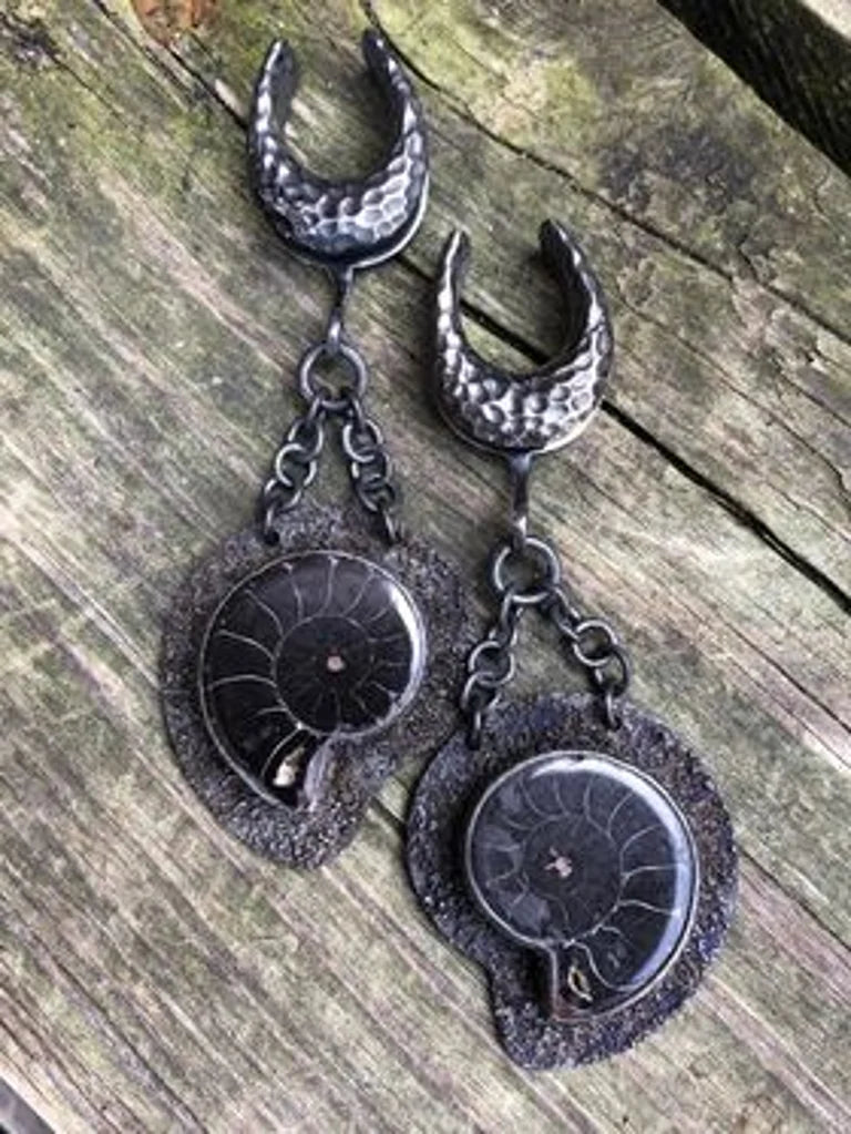 Distressed black fossil ammonites from diablo organics