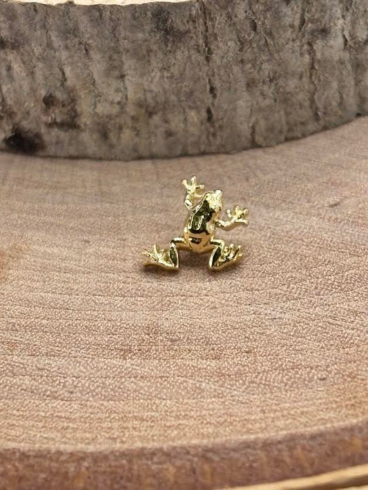 Tree Frog