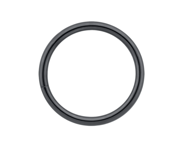Niobium seamless ring from LeRoi