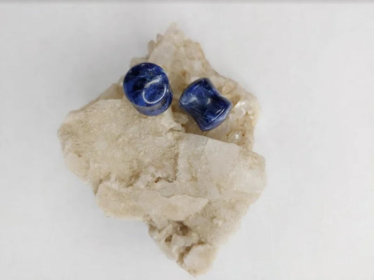 sodalite plugs from Evolve