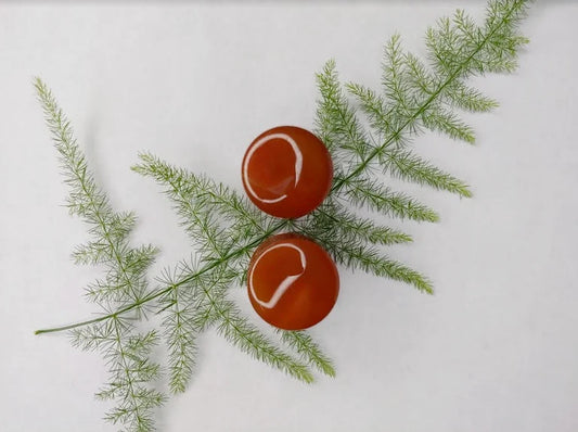 Carnelian Plugs from Evolve